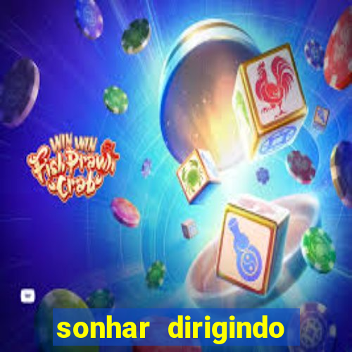 sonhar dirigindo carro jogo do bicho